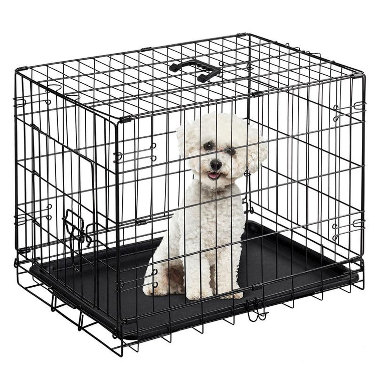 Pet Essentials